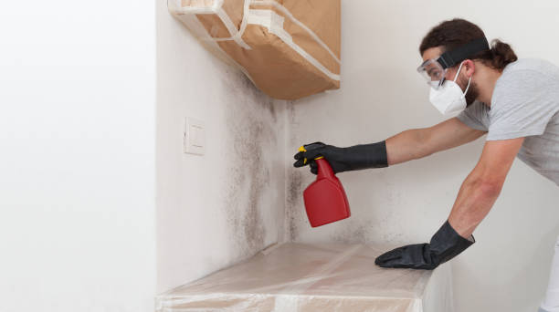 Professional Mold Testing technician working in Lawnside, NJ